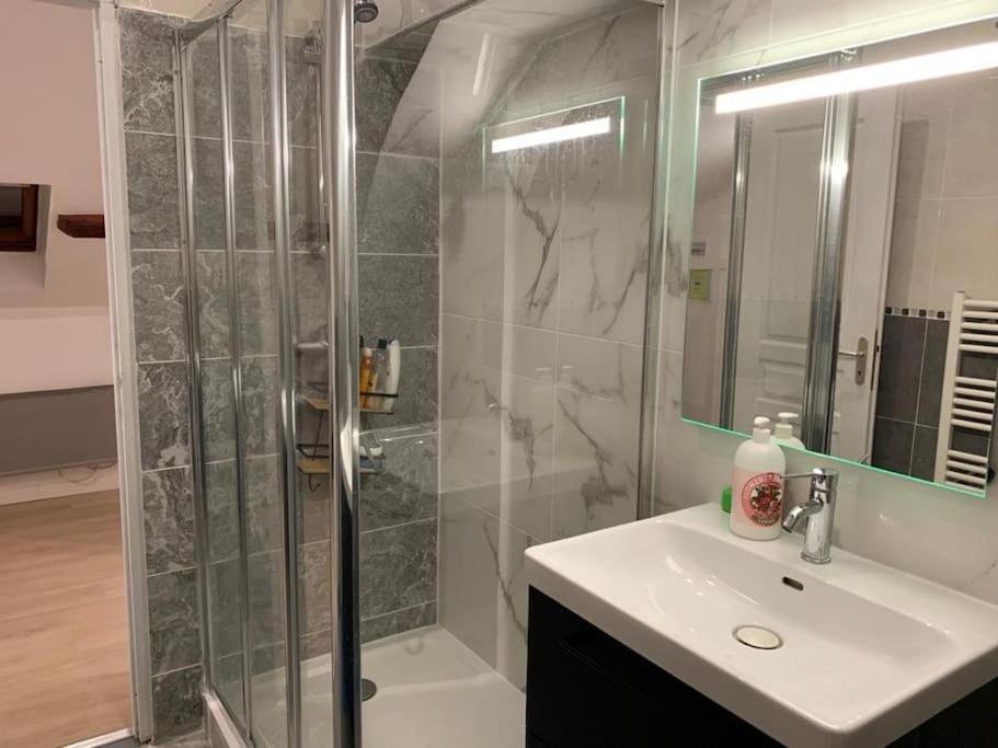 Appartement De Charme - 41M² Rosny-sur-Seine Zewnętrze zdjęcie